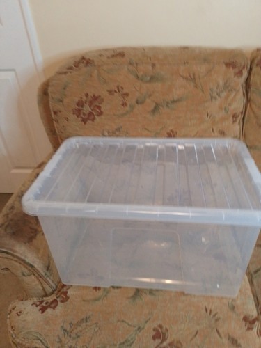 60l crystal clear - 60l, box